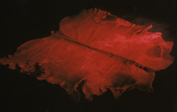 tappeto pelle colore